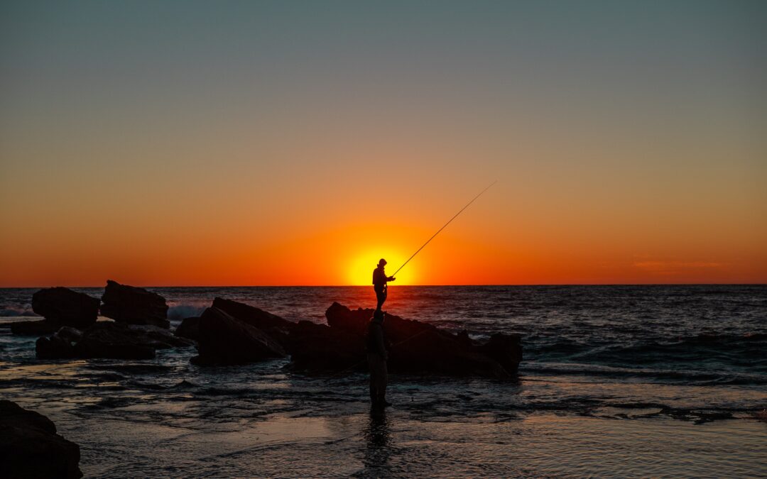 Decoding Fish Finders: A Beginner’s Walkthrough