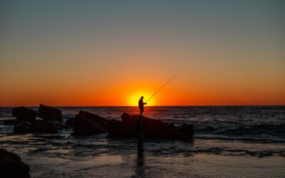 Decoding Fish Finders: A Beginner’s Walkthrough