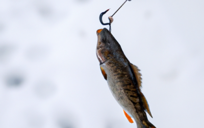 Fishing In Different Seasons: Tips For Spring, Summer, Fall, And Winter