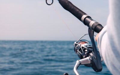 Top 10 Tips For Beginner Anglers: Get Started With Confidence
