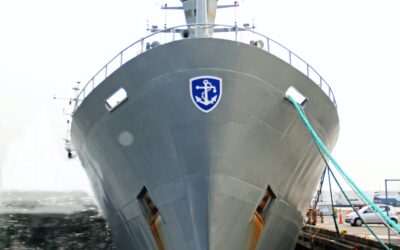 Under The Surface: How Sonar Paints The Underwater Picture