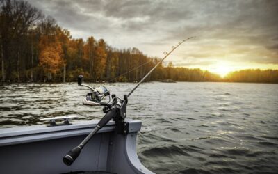 Fishing In Fast Moving Waters: Strategies For Rivers And Streams