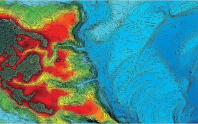 Humminbird 602005-1 LakeMaster Premium Review