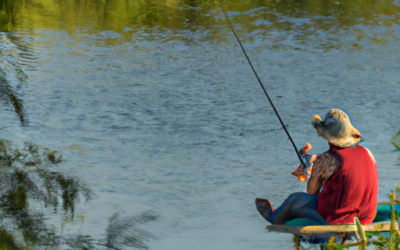 Enhancing Your Fishing Experience With Music: Pros And Cons