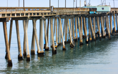 Fishing Near Structures: Making The Most Of Piers, Bridges, And Docks