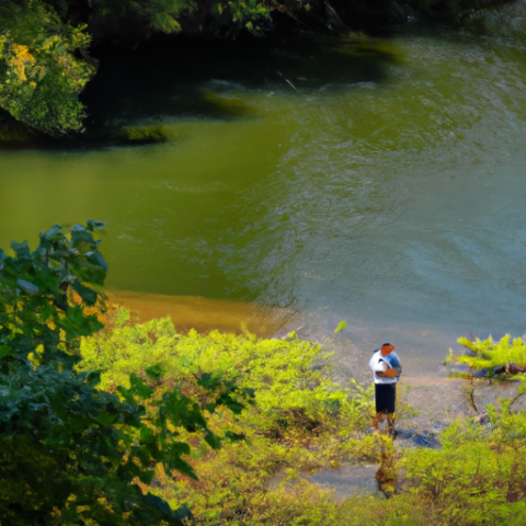The Unexpected Benefits Of Fishing: Mental Health And Wellness - Fish